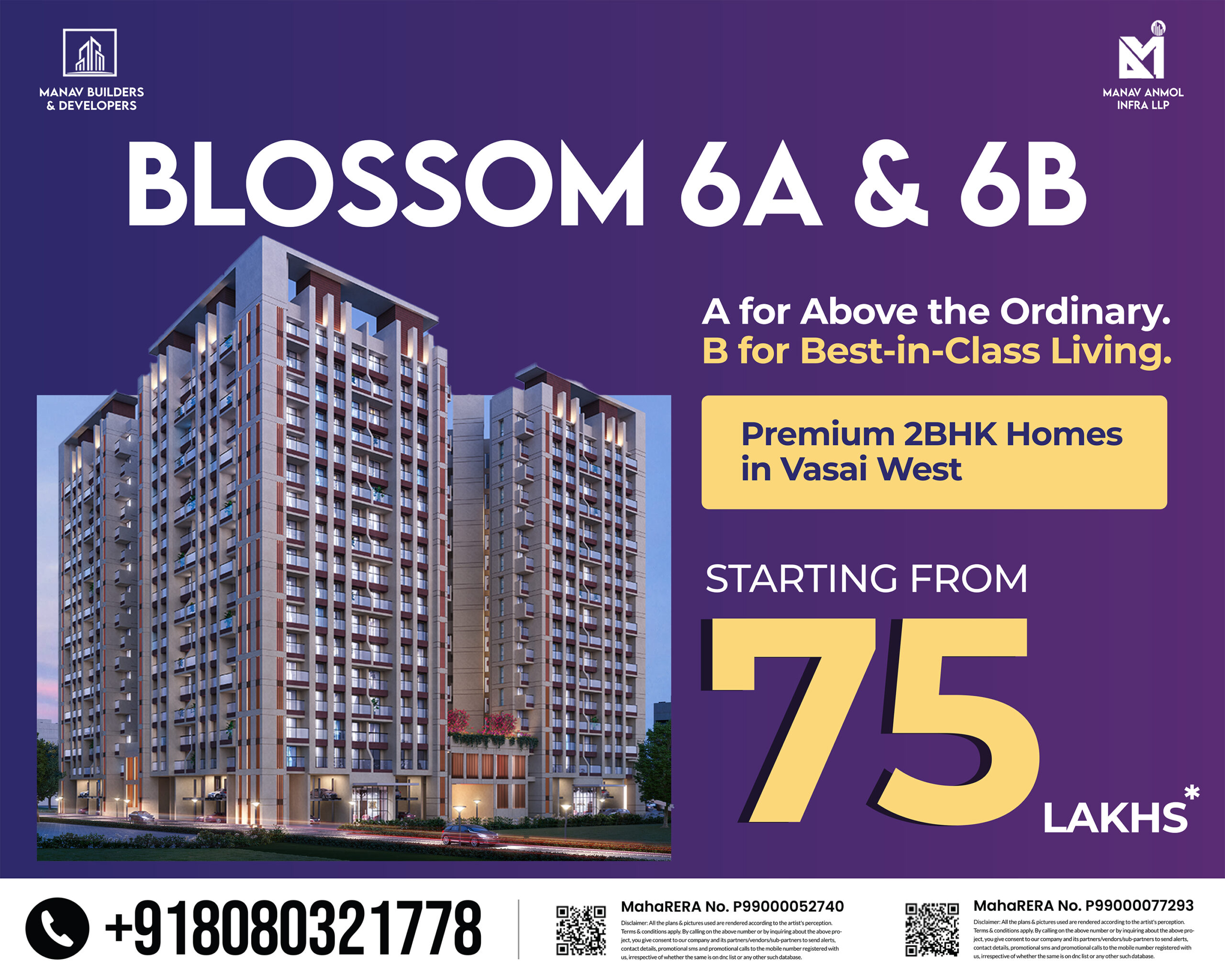 25X20 Blossom
